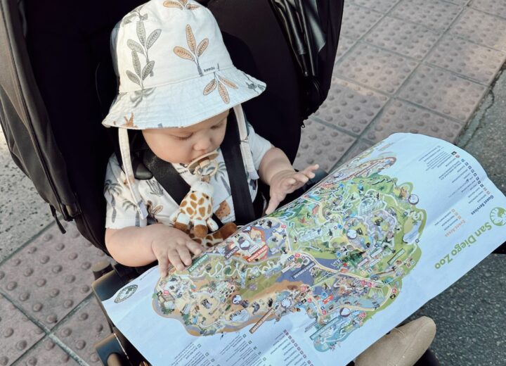 Baby with floral beige bucket hat and pacifier in stroller holding zoo map