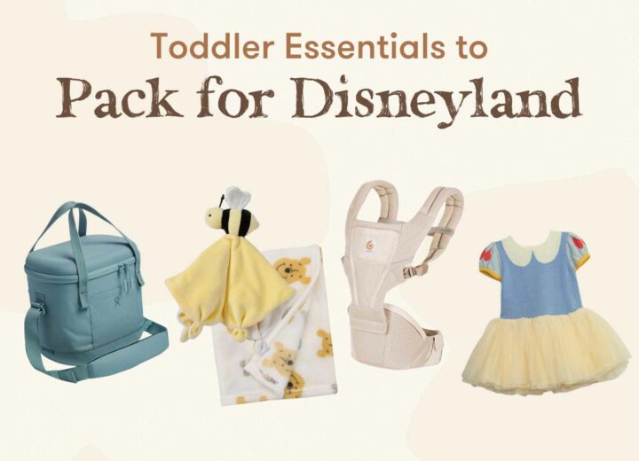 Graphics photo of Toddler Essentials to Pack for Disneyland with cooler bag, blanket and lovey, hip seat carrier and cute outfit