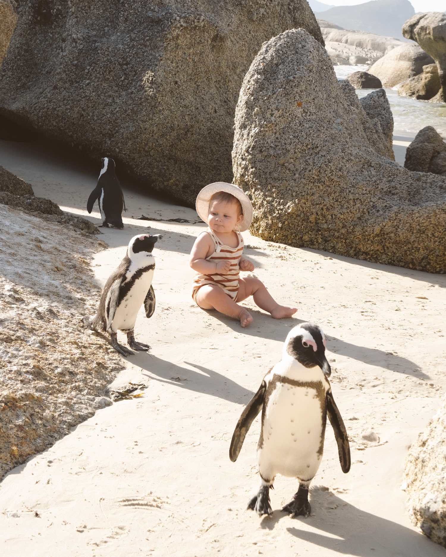 Little baby in striped suit and white sun hat on the beach with rocks, looking at penguins walking around him