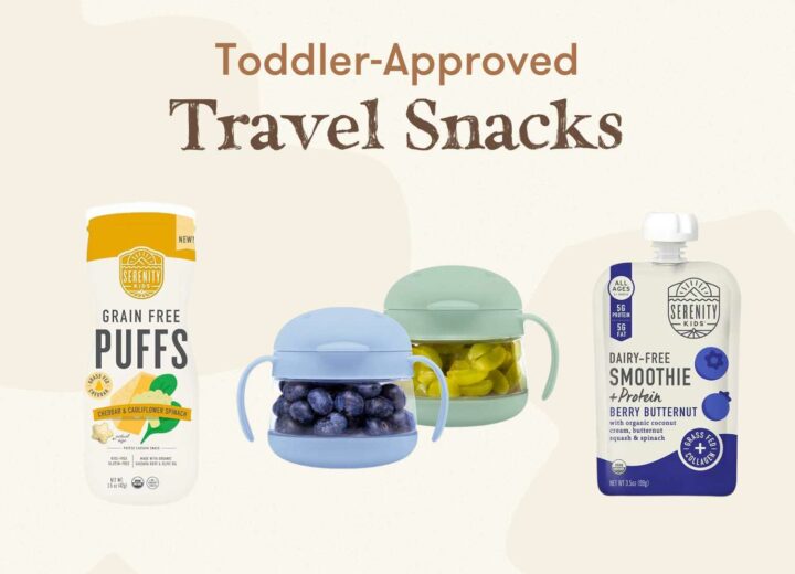 Toddler-Approved Travel Snacks feature image