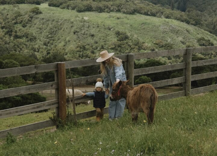 Woman in denim with wide brim hat bending over to play with toddler son in tall grass field as donkey grazes beside them