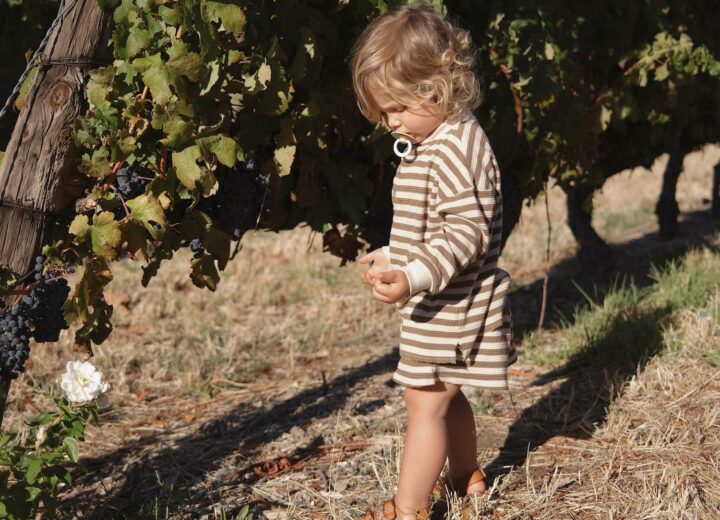 Little boy walking in striped long sleeve set looking down with wine vineyards behind him